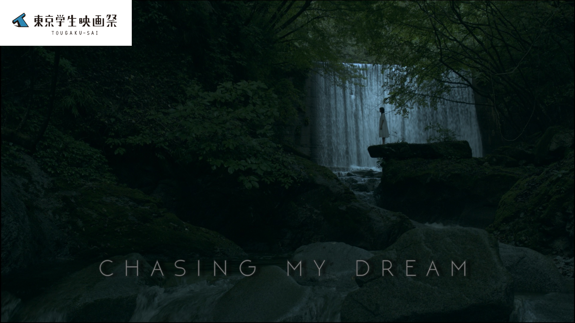 Chasing My Dream